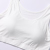 都市丽人基础简约抹胸女人棉背心无尺码固定杯垫短抹胸短抹胸无钢圈无排扣LV4AA4 商品缩略图5