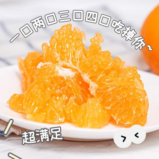 【爆汁耙耙柑】【春节的来客，甜蜜的厚礼  独爱耙耙柑】“果汁炸弹”--春见耙耙柑不会迟到 超高VC 果肉细腻 个大饱满 汁水充足 无籽少渣 春见耙耙柑  如鱼子酱般颗粒分明 轻咬一口  颗颗爆汁 商品图3