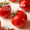 津农精品 莲到家 水果番茄伴手礼礼盒 商品缩略图4