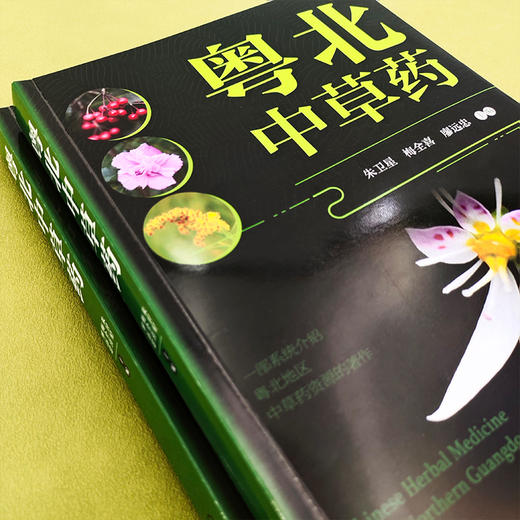 粤北中草药 商品图3