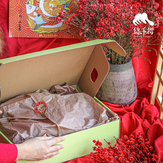 生态猪肉零食礼盒 | 绿家自产 *Eco-Pork snack gift pack | Self-production 商品图2