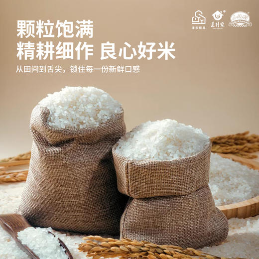 津农精品  津沽宁河大米匠心系列2.5kg 商品图1