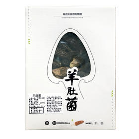 玺丰收羊肚菌100g/盒    "100g*2盒/提 配礼品袋"