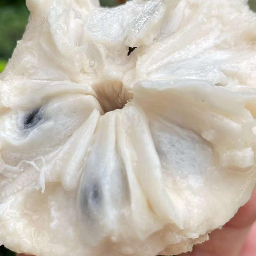 海南凤梨释迦口感绵密软糯奶香甜蜜顺丰包邮下单从海南发货 商品图3