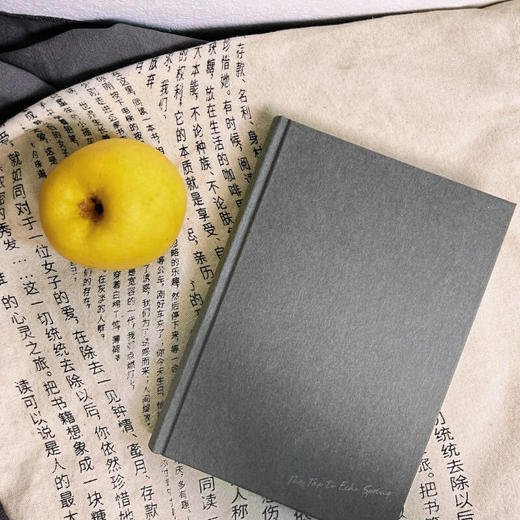 回声泉之旅：一场跨越北美的文学之旅，书写文人与酒的不解之缘 商品图4