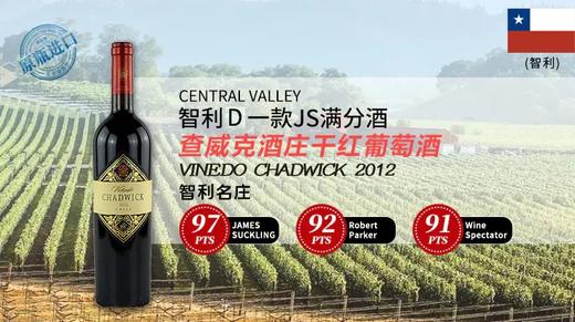智利-查威克酒庄干红葡萄酒2012 商品图0