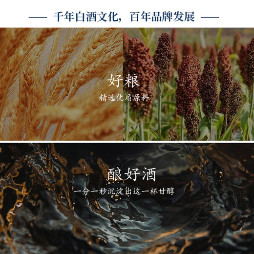 【浓香型】杜康经典精品480ml 52度 商品图4