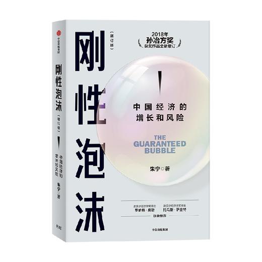 刚性泡沫 朱宁著 2018年孙冶方奖获奖作品全新增订 诺贝尔经济学奖得主罗伯特席勒推荐 读懂中国经济的过去与未来 商品图3