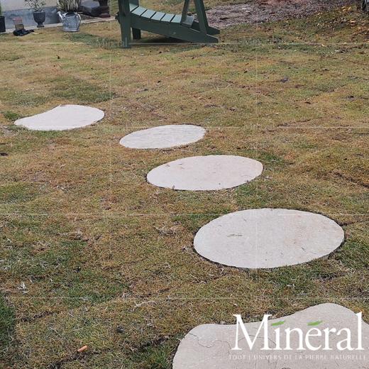 西班牙秋黄汀步 商品图4