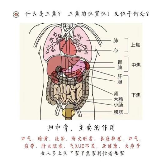 归中膏 脾胃不好中焦不通淤堵疏通中焦疏旰脾解郁脾胃健调理郁瘀堵中焦 商品图4
