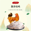【东滩绿港】崇明散养桃园鸡约1.25kg 净膛冰冻 商品缩略图0