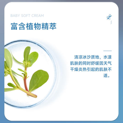 【喜多】绵绵霜 商品图2