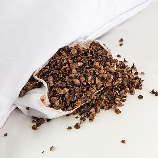 【春上新】10楼 安睡宝 纯荞麦壳复合超细纤维两用枕46*72*3cm 吊牌价699元/只 活动价179元/只 商品图1