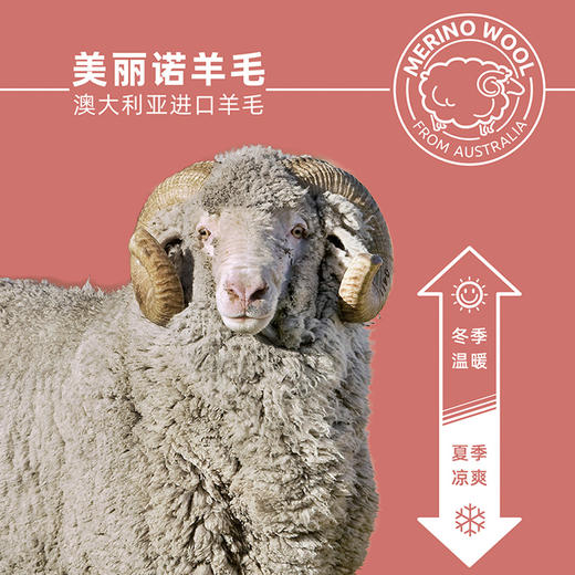 赛乐zealwood美利奴羊毛天丝四角男式内裤舒适透气 商品图1