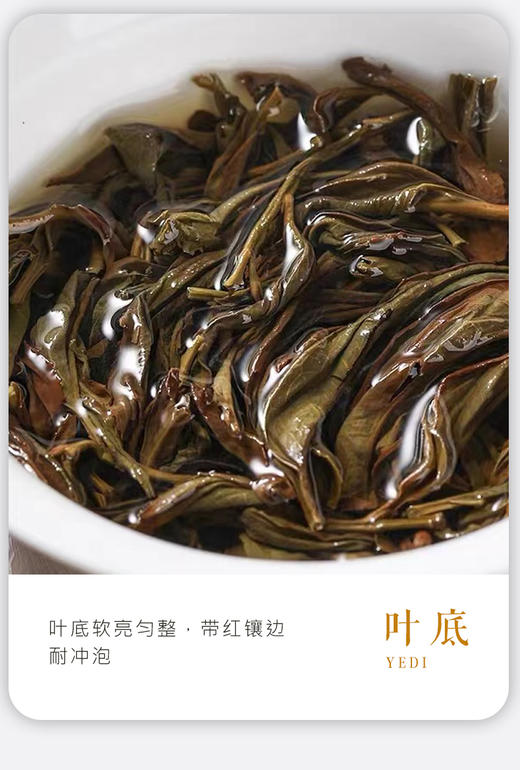 凤凰单枞 | 2024年新茶 宋茶荟 雷扣柴100g/罐 商品图4