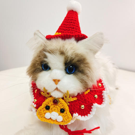 宠物项圈 商品图1