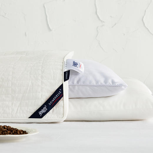 【春上新】10楼 安睡宝 纯荞麦壳复合超细纤维两用枕46*72*3cm 吊牌价699元/只 活动价179元/只 商品图3