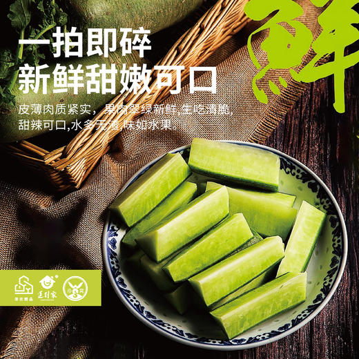 津农精品 莲到家 沙窝萝卜青皮萝卜冰淇淋萝卜双拼伴手礼礼盒 商品图4