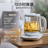 小熊 (Bear) 养生壶 煮茶壶 烧水壶 可拆卸茶篮煮茶器1.5L电水壶 YSH-D15V9 商品缩略图2