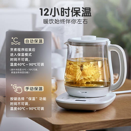 小熊 (Bear) 养生壶 煮茶壶 烧水壶 可拆卸茶篮煮茶器1.5L电水壶 YSH-D15V9 商品图2
