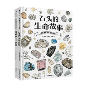 盛口满的手绘自然图鉴系列 盛口满 著 科普百科