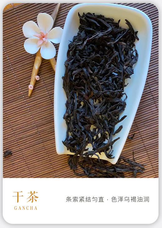 凤凰单枞 | 2024年新茶 宋茶荟 雷扣柴100g/罐 商品图1