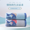 洁丽雅鹤飞九天毛巾新疆长绒棉家用成人全棉吸水大毛巾男女通用 商品缩略图2