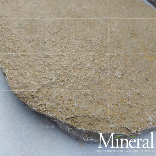 西班牙秋黄汀步 商品图6