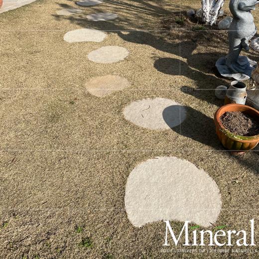 西班牙秋黄汀步 商品图2