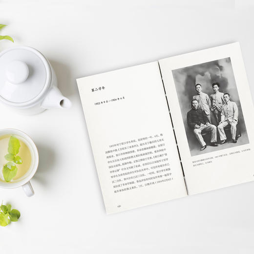 究竟是青春：鲁迅的留日七年（1902—1909） 商品图3