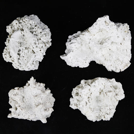 砗磲贝壳基座 商品图8