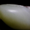 和田玉（白玉）独籽挂件-- 安居乐业 69.59g 商品缩略图8