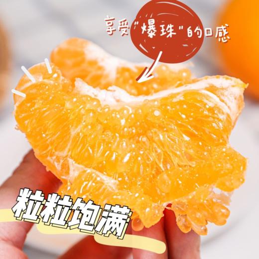 【爆汁耙耙柑】【春节的来客，甜蜜的厚礼  独爱耙耙柑】“果汁炸弹”--春见耙耙柑不会迟到 超高VC 果肉细腻 个大饱满 汁水充足 无籽少渣 春见耙耙柑  如鱼子酱般颗粒分明 轻咬一口  颗颗爆汁 商品图2