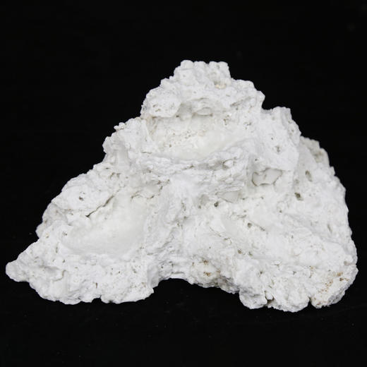 砗磲贝壳基座 商品图9