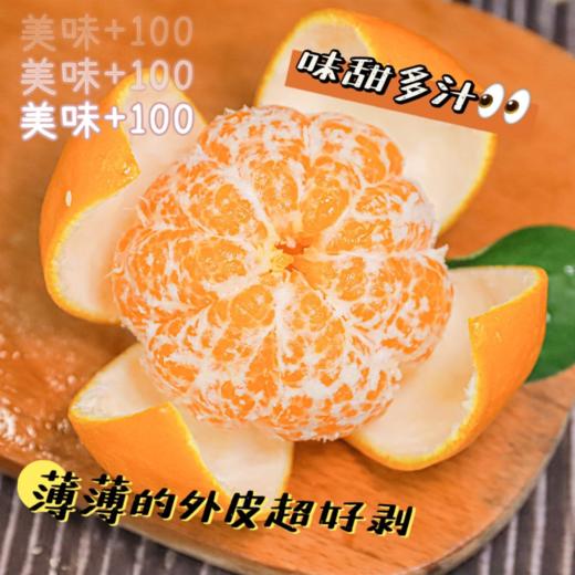 【爆汁耙耙柑】【春节的来客，甜蜜的厚礼  独爱耙耙柑】“果汁炸弹”--春见耙耙柑不会迟到 超高VC 果肉细腻 个大饱满 汁水充足 无籽少渣 春见耙耙柑  如鱼子酱般颗粒分明 轻咬一口  颗颗爆汁 商品图6