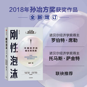 刚性泡沫 朱宁著 2018年孙冶方奖获奖作品全新增订 诺贝尔经济学奖得主罗伯特席勒推荐 读懂中国经济的过去与未来