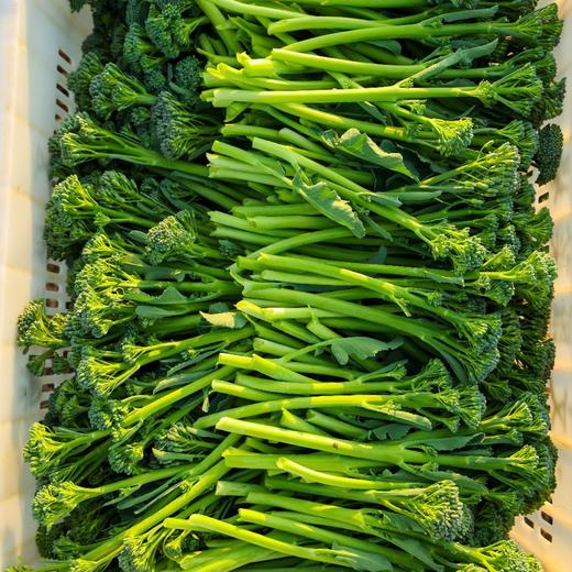 芦笋西兰苔 商品图2