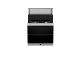 火星人/集成灶/F20BX/火星人消毒柜款