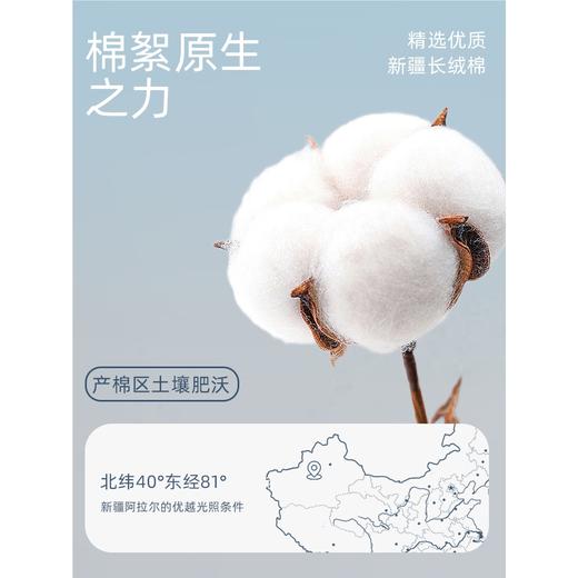 洁丽雅纯棉熊猫毛巾卡通A类新疆棉黑白可爱家用洗脸巾男擦脸巾女 商品图4