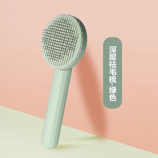 抽奖除毛梳/粘毛器 商品图0