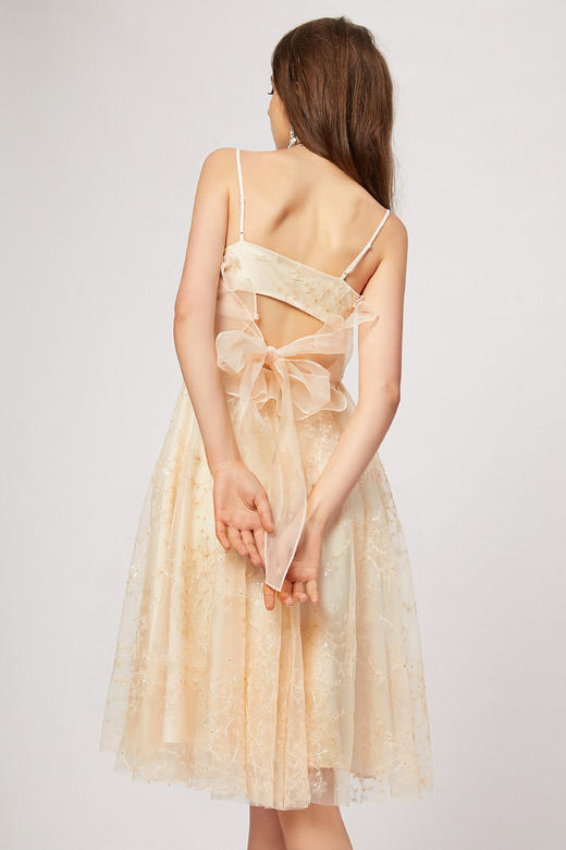 香槟色绣球花刺绣亮片露背网纱吊带裙 商品图2