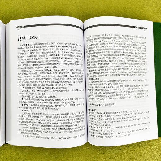 粤北中草药 商品图5