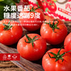 津农精品 莲到家 水果番茄伴手礼礼盒 商品缩略图3