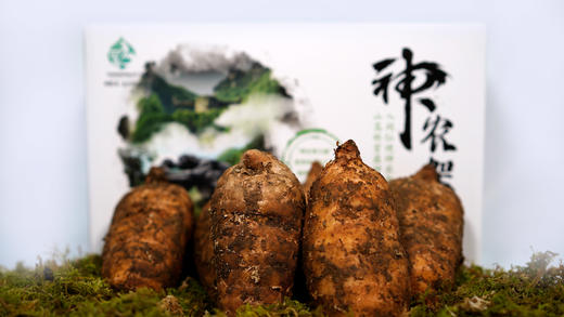 【神农架】新鲜天麻礼盒1500g 商品图4