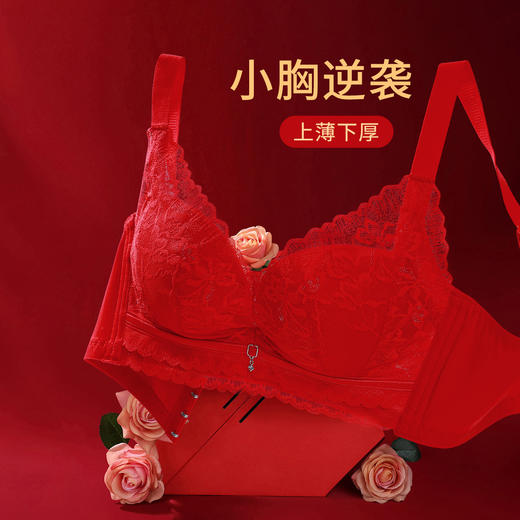 熳洁儿 本命年女士内衣新年小胸聚拢文胸浪漫蕾丝上薄下厚无钢圈聚拢舒适收副乳23761511 商品图1