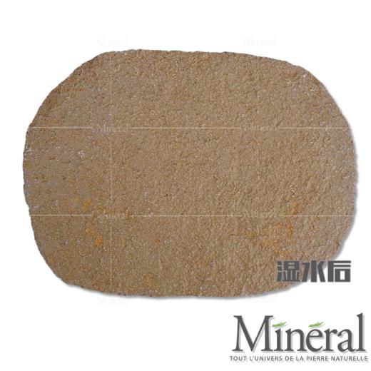 西班牙秋黄汀步 商品图10