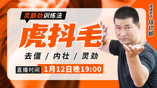 【1月12日】虎抖毛（灵颤劲训练法） 商品图0