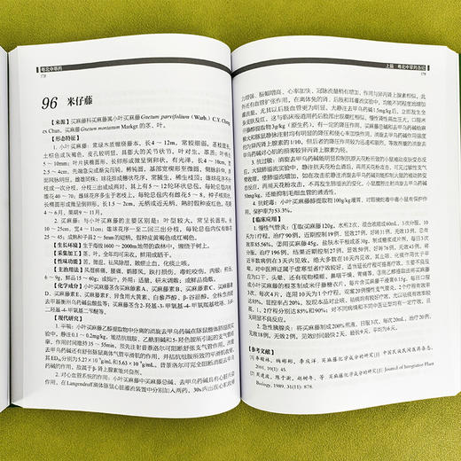 粤北中草药 商品图4