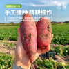津农精品 莲到家 红瑶红薯伴手礼礼盒软糯香甜 商品缩略图3