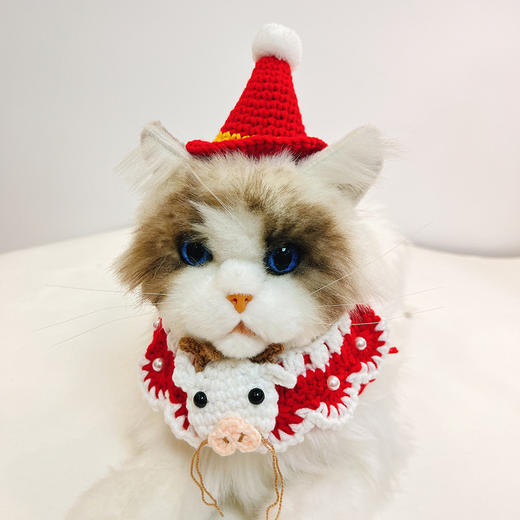 宠物项圈 商品图3